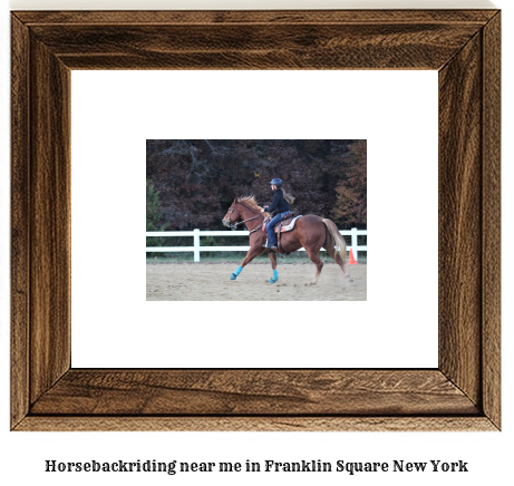 horseback riding near me in Franklin Square, New York